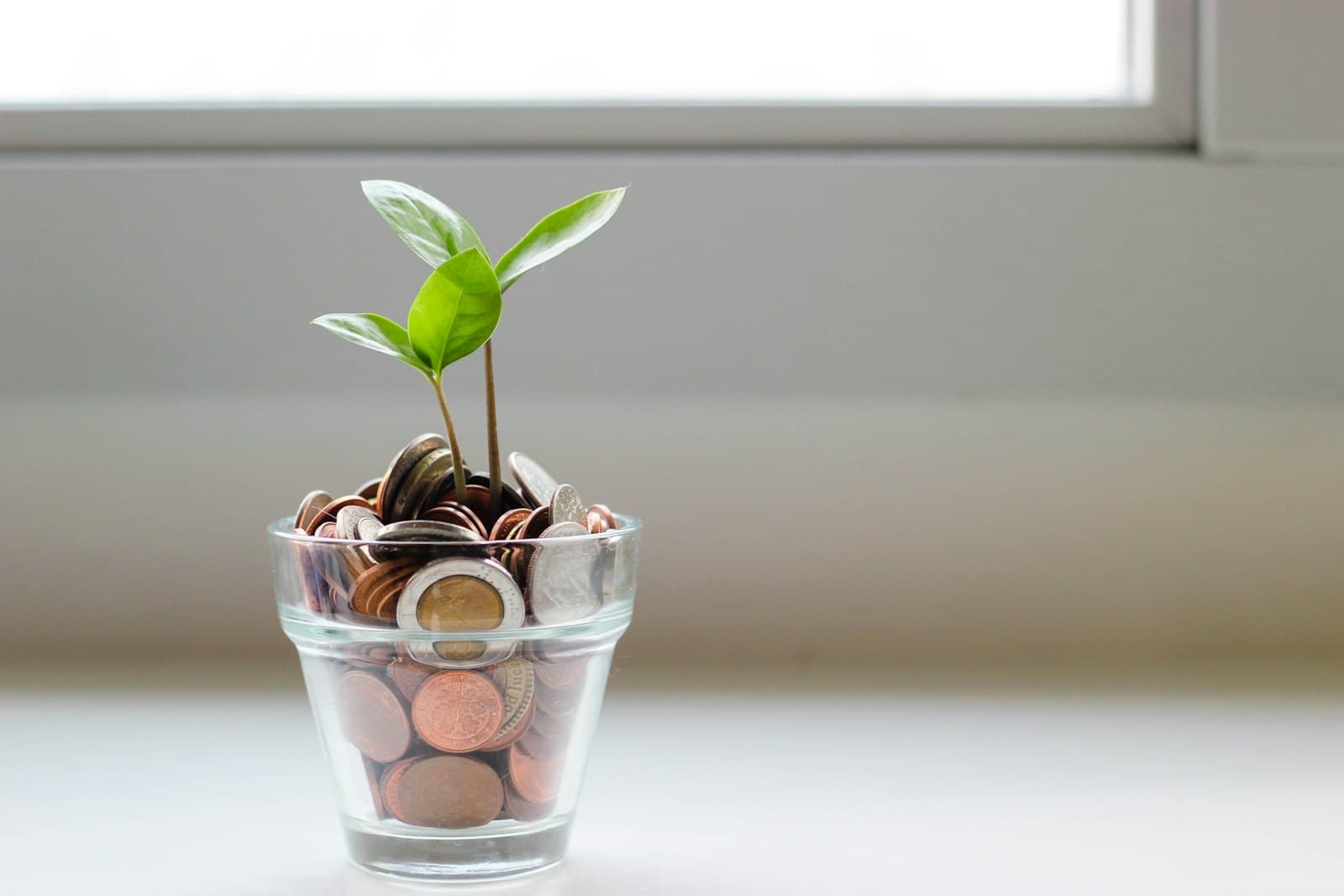 Consumer lending platform, regulated in two markets